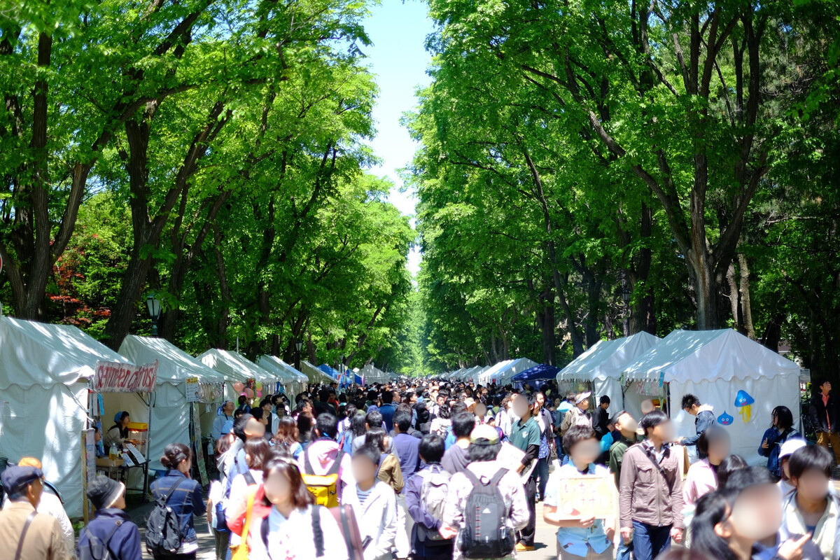 北大祭の画像3