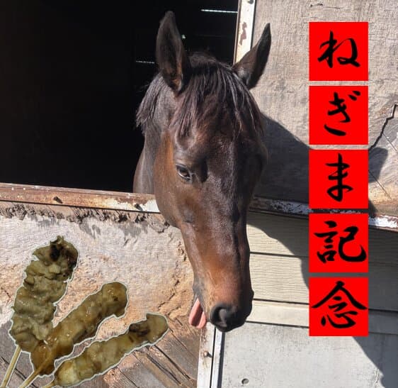 ねぎま記念